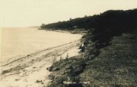 Picture of Woodside Bay c1900